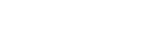 Logo: WSU Professional Education.